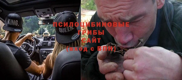 apvp Армянск