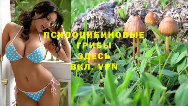 спиды Алексин