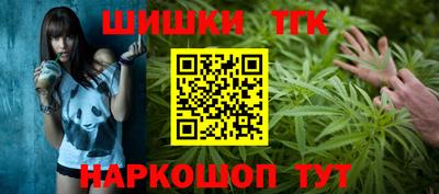 индика Рыбинск