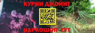 индика Рыбинск