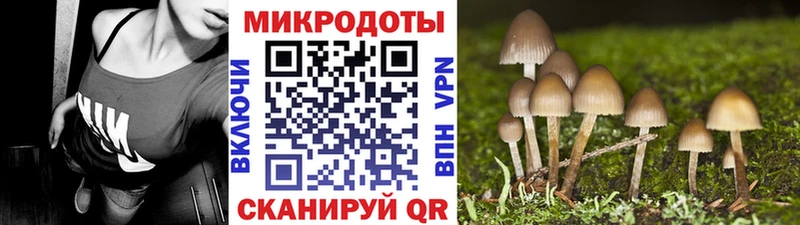 цены   Пушкино  Псилоцибиновые грибы мухоморы 