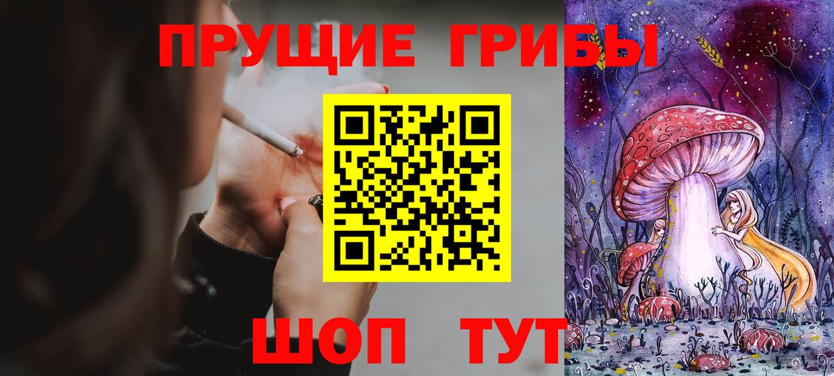 Пушкино  Псилоцибиновые грибы ЛСД  Вход с VPN 