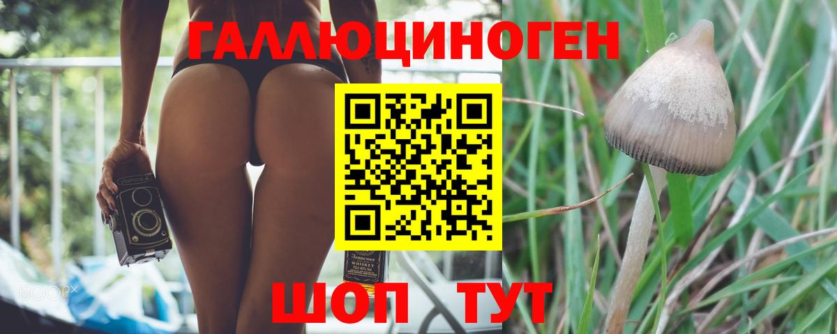 Галлюциногенные грибы мухоморы Пушкино